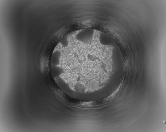 X0000096380178200802211128