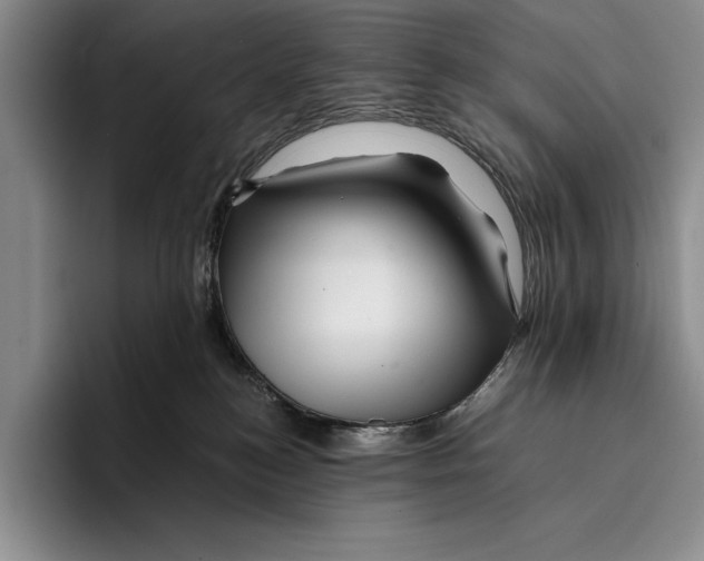 X0000096380184200802211128