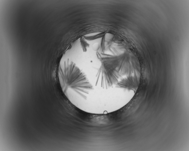 X0000096380185200802211128