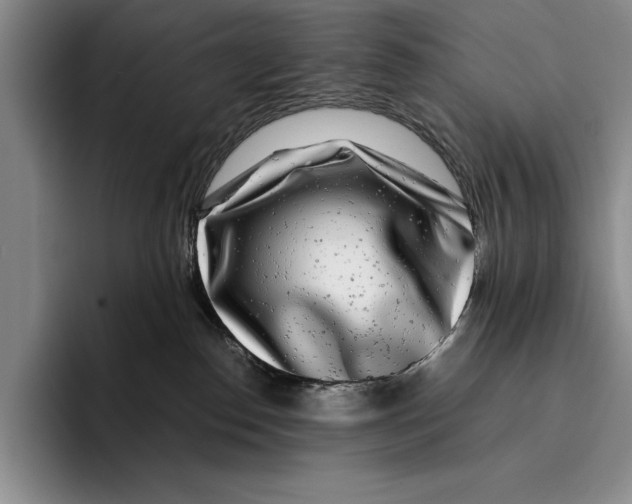 X0000096380186200802211128