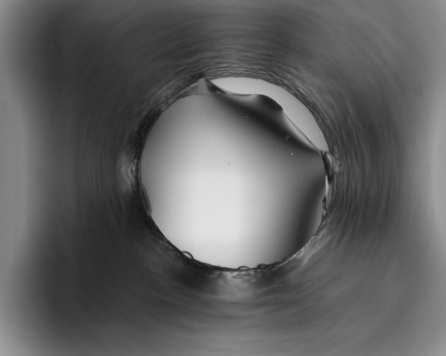 X0000096380188200802211128