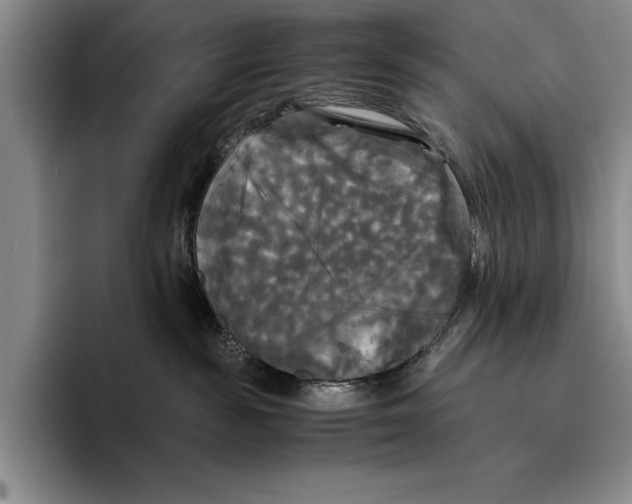 X0000096380189200802211128
