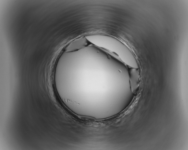 X0000096380193200802211128