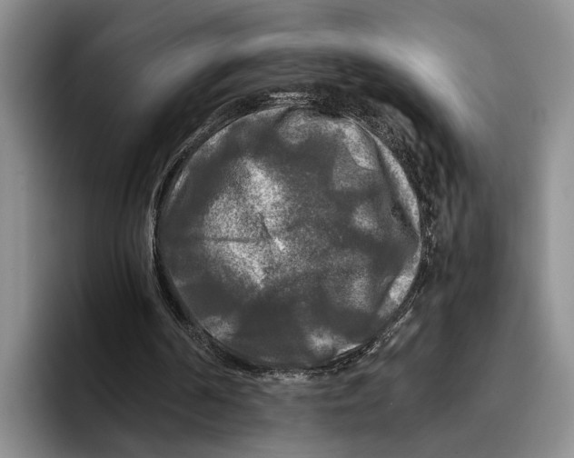 X0000096380194200802211128