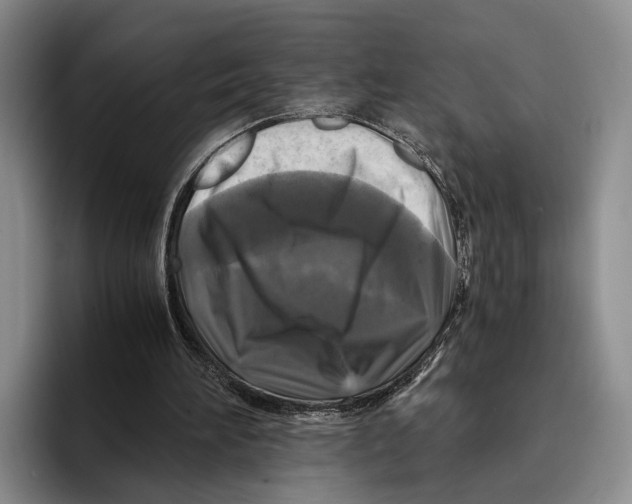 X0000096380196200802211128