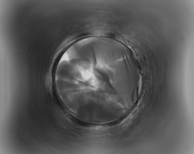 X0000096380198200802211128