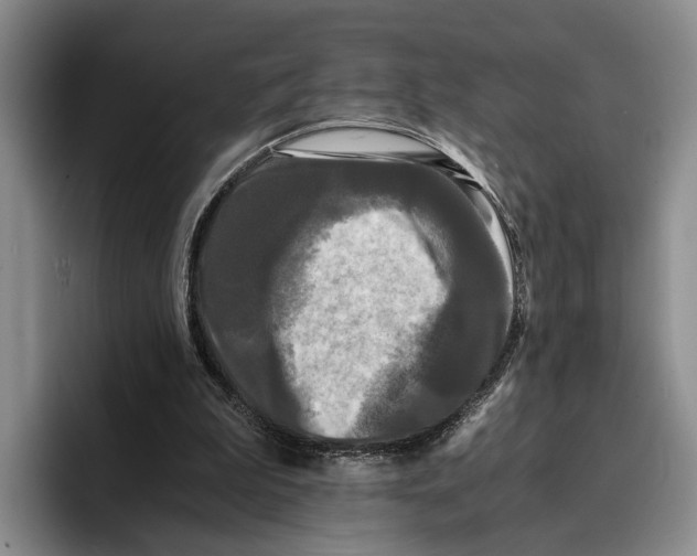 X0000096380199200802211128