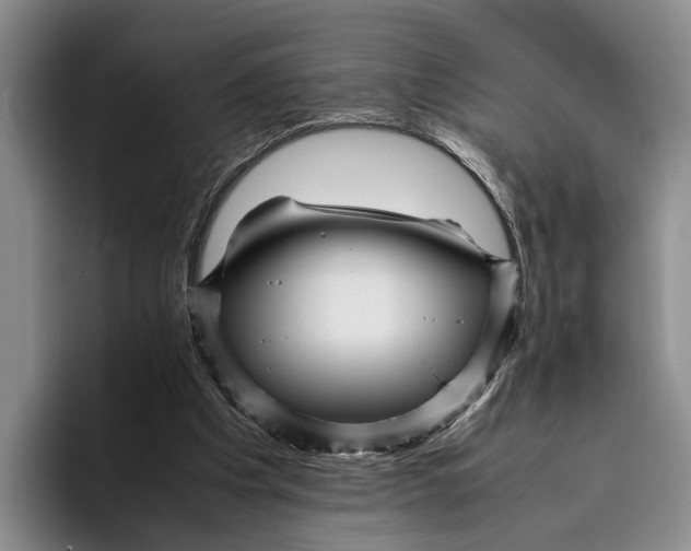 X0000096380201200802211128