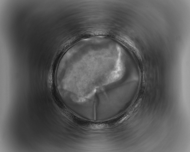 X0000096380202200802211128