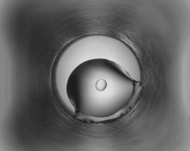 X0000096380203200802211128