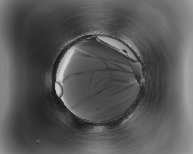 X0000096380204200802211128