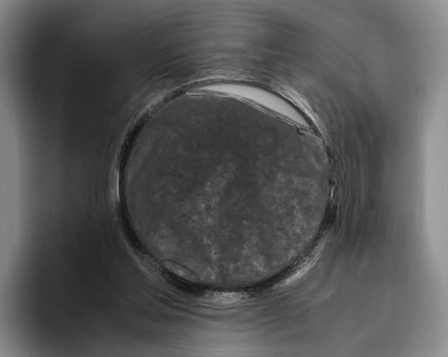 X0000096380205200802211128