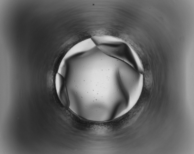 X0000096380207200802211128