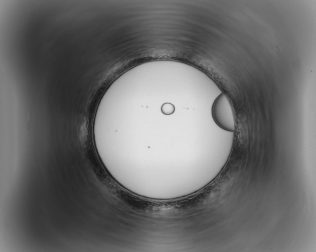 X0000096380208200802211128