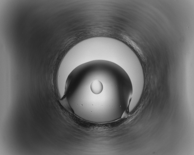 X0000096380209200802211128