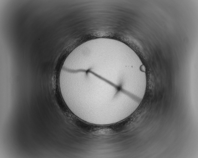 X0000096380210200802211128