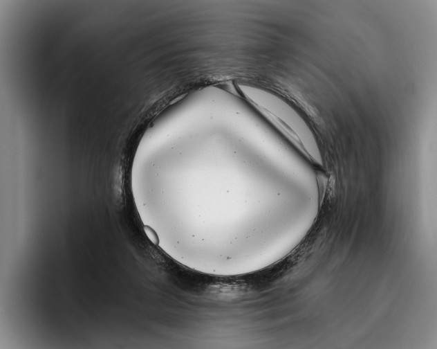 X0000096380211200802211128