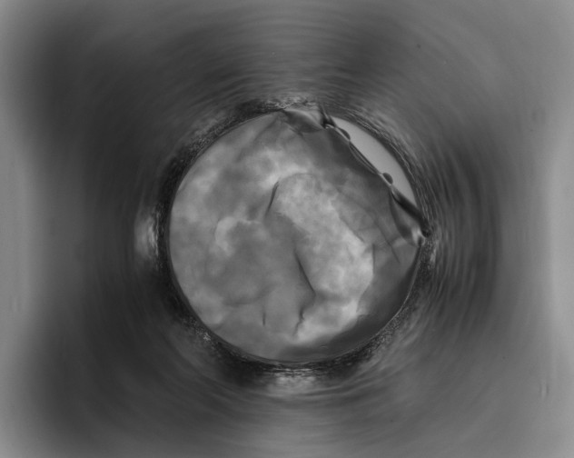 X0000096380214200802211128