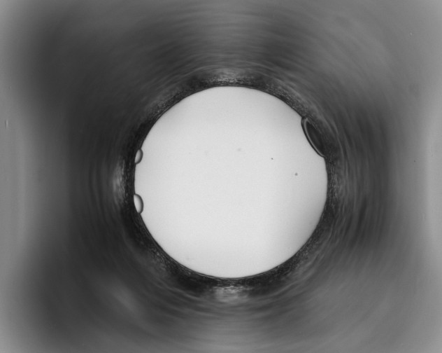 X0000096380216200802211128