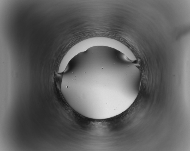 X0000096380221200802211128