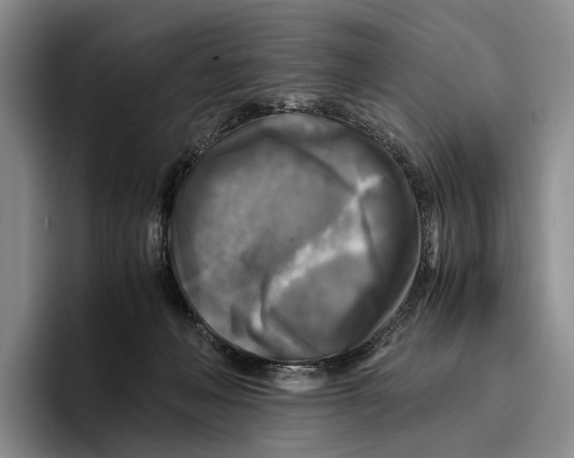 X0000096380222200802211127