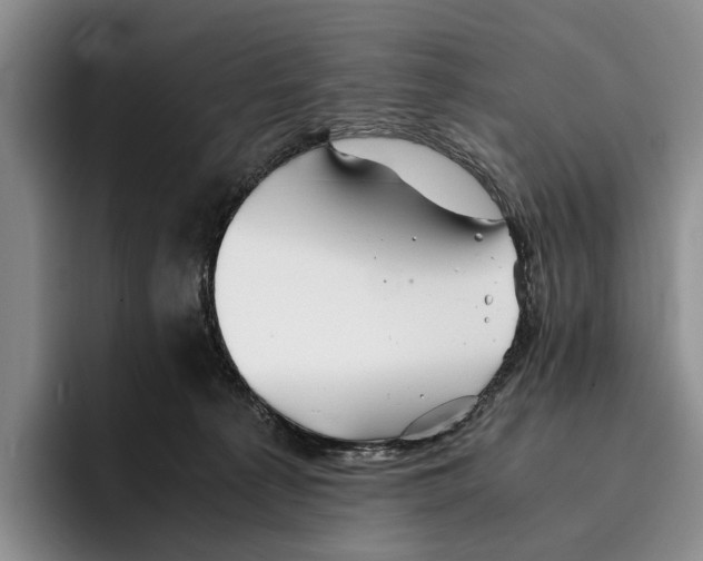 X0000096380225200802211127