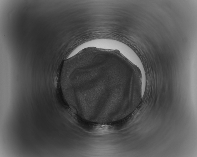 X0000096380227200802211127