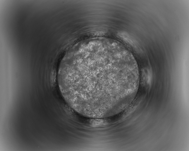 X0000096380230200802211127