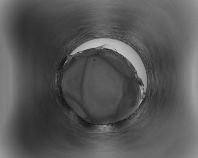 X0000096380233200802211127