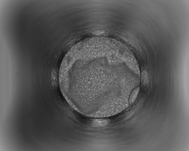 X0000096380234200802211127