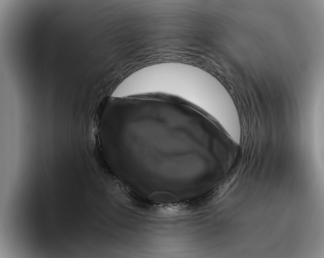 X0000096380235200802211127