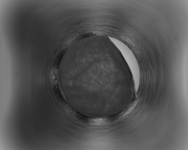 X0000096380237200802211127