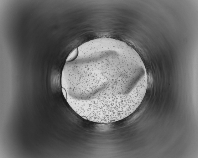 X0000096380238200802211127