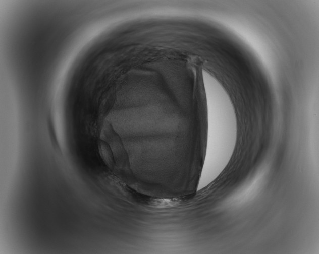 X0000096380239200802211127