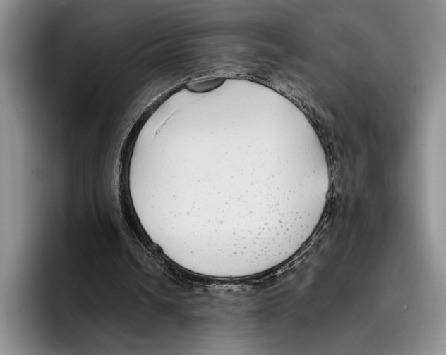 X0000096380242200802211127