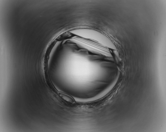 X0000096380244200802211127