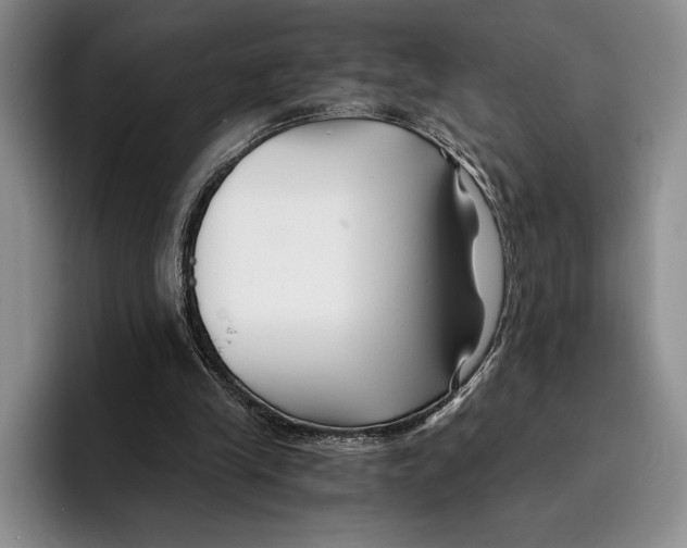 X0000096380245200802211127