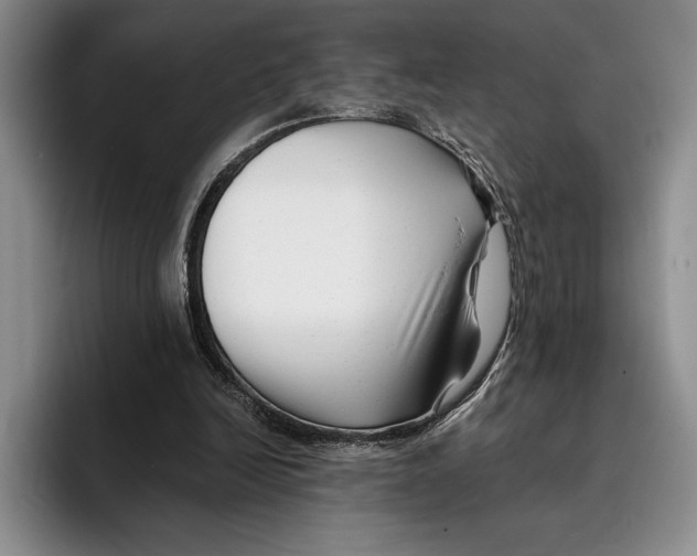 X0000096380246200802211127