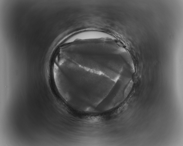 X0000096380247200802211127