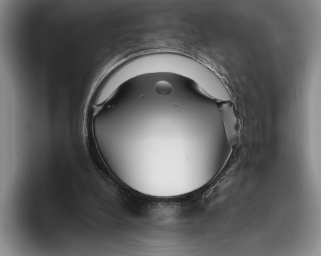 X0000096380248200802211127