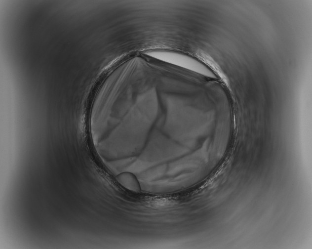 X0000096380249200802211127