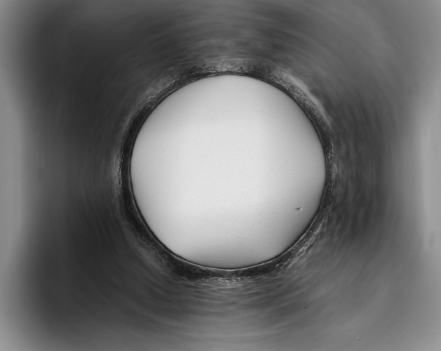 X0000096380250200802211127