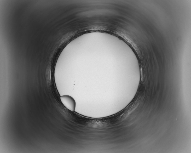 X0000096380253200802211127