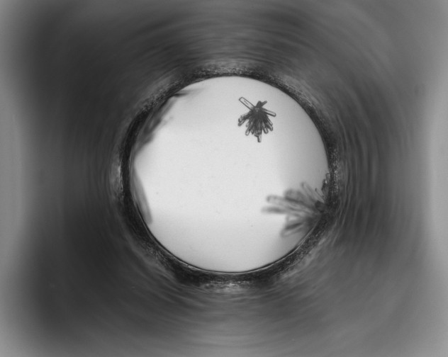 X0000096380254200802211127