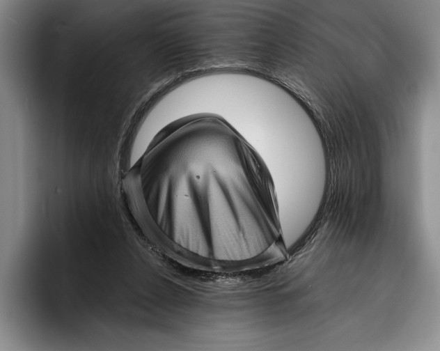 X0000096380256200802211127