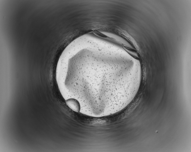 X0000096380257200802211127