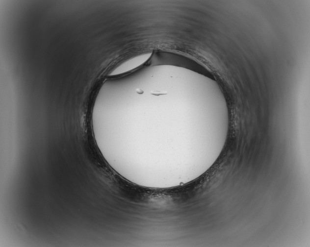 X0000096380258200802211127