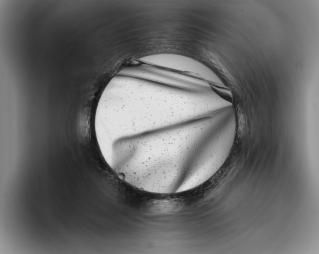 X0000096380259200802211127