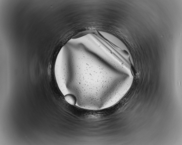 X0000096380263200802211127