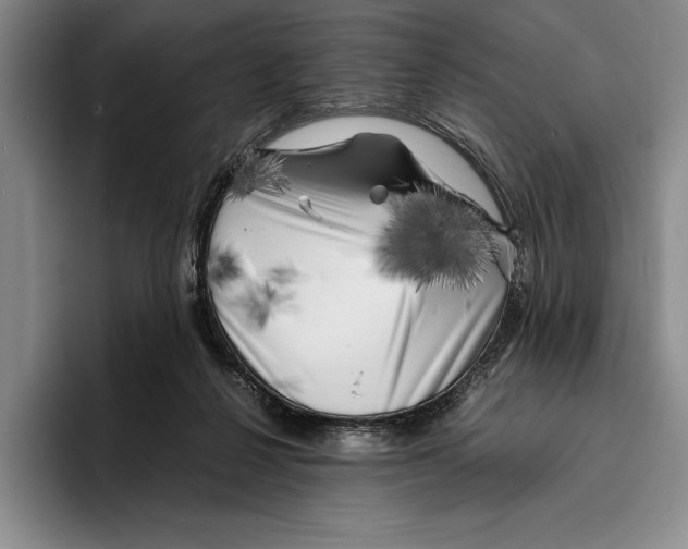 X0000096380264200802211127